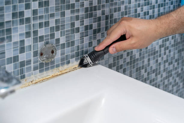 Reliable Ottawa, OH Mold Removal Solutions