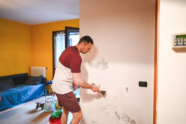 Crawl Space Mold Removal in Ottawa, OH